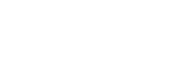 DF Holding